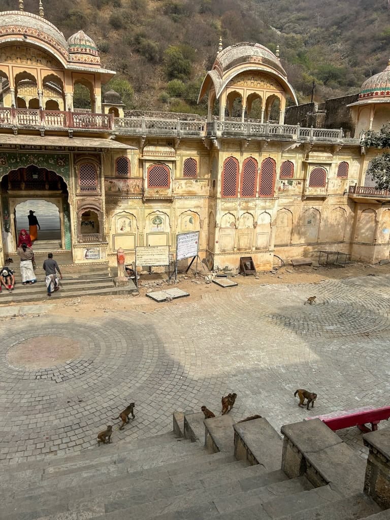 Monkey Temple in India in Jaipur