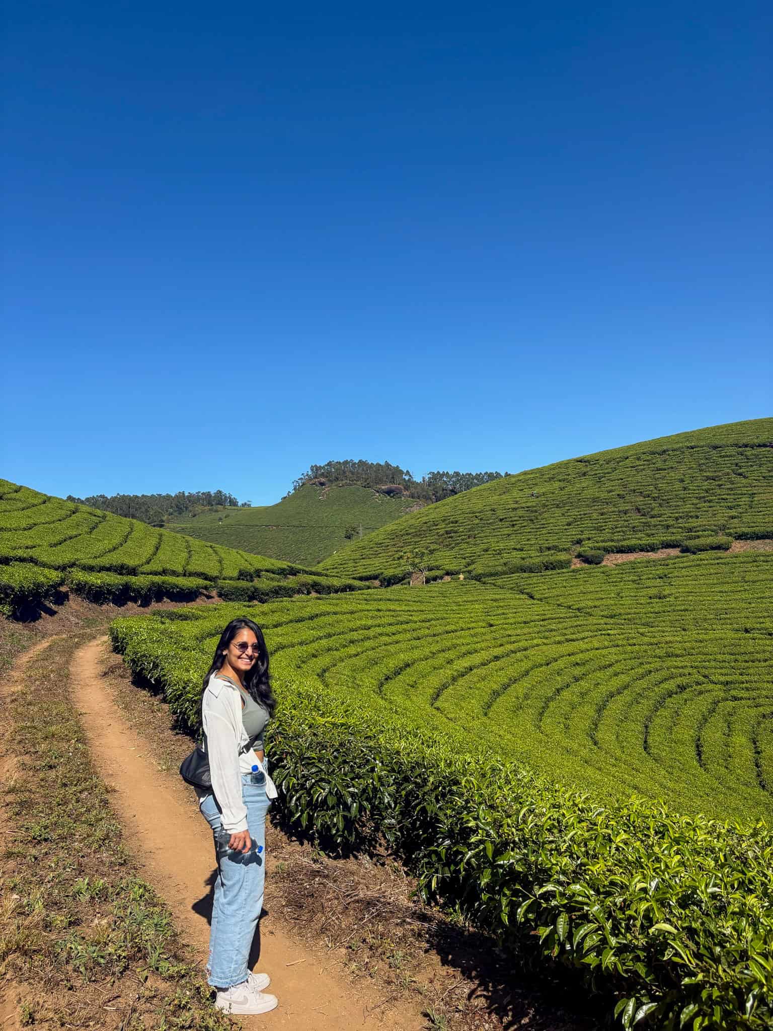 Lakshmi hills tea fields hike in Munnar in Kerala