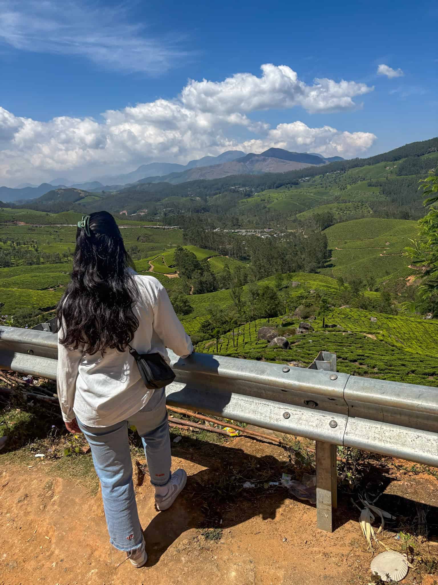 Munnar drive up from Kochi in Kerala. view of tea fields tea 