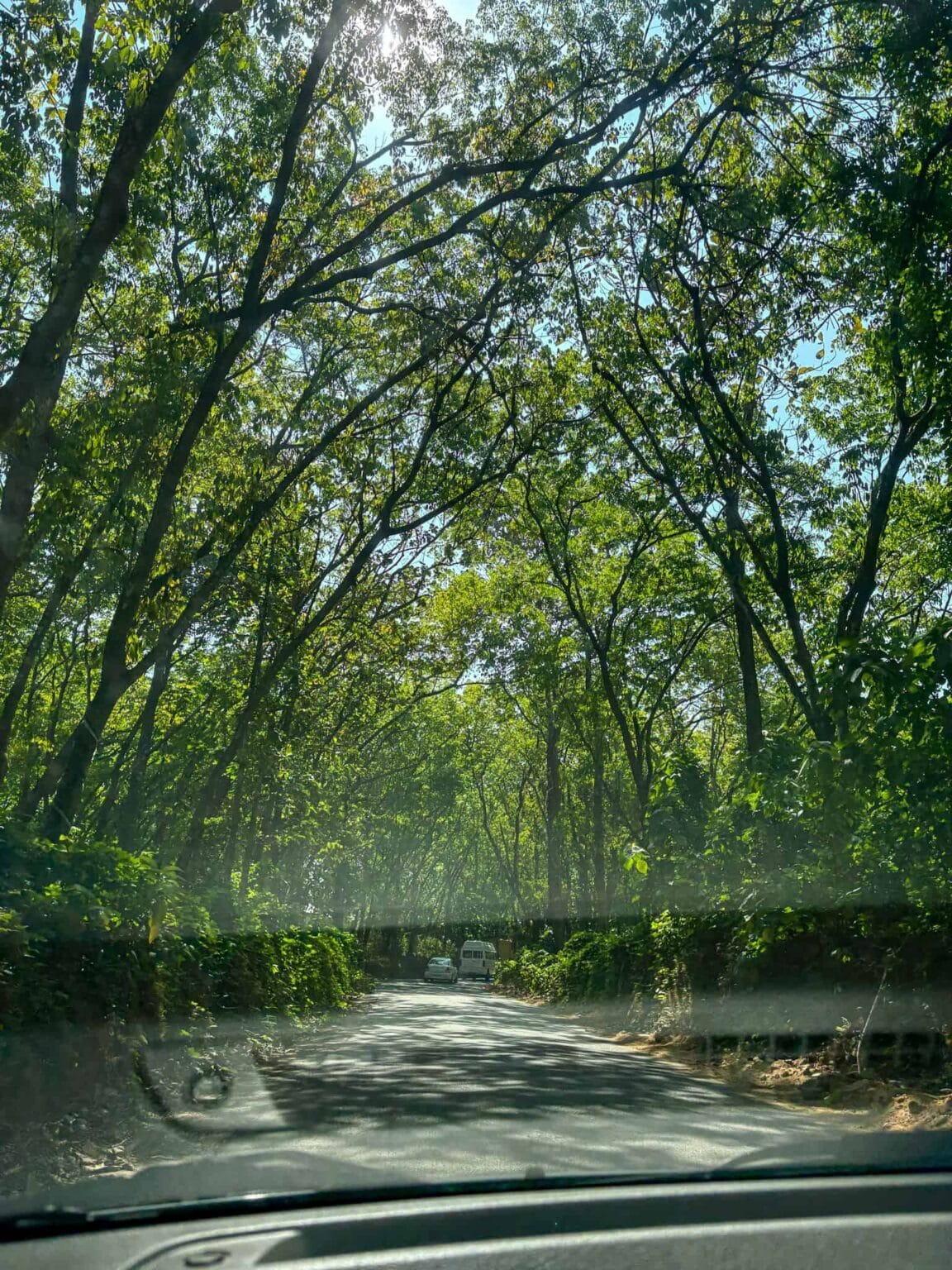 best route from Munnar to Alleppey on a 7 day Kerala tour