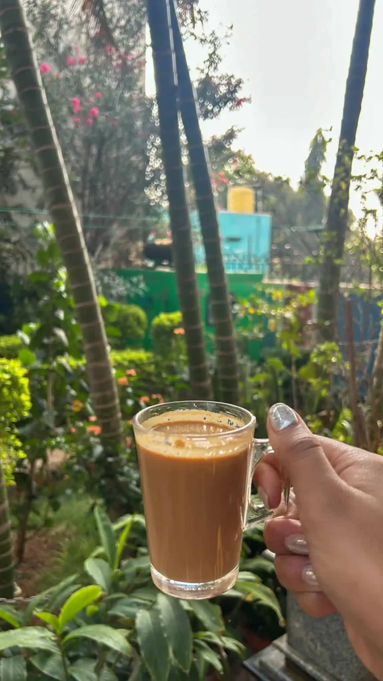 Hampi best accomodation - chai in mango tree homestay garden