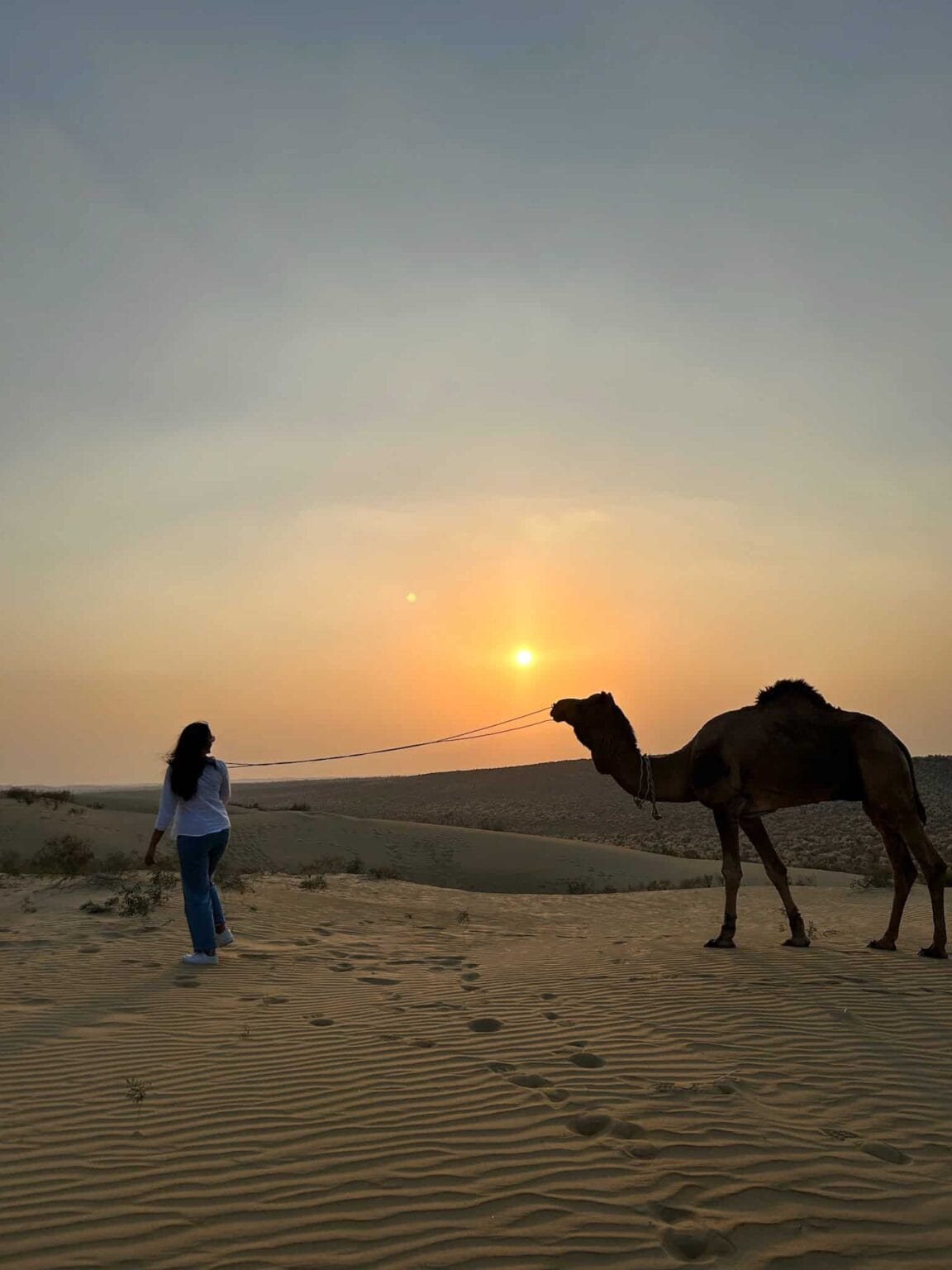 why nris and indians should see india - jaisalmer 2 day trip camel safari
