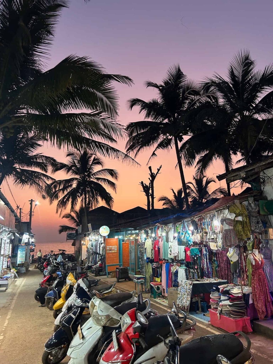 why nris and indians should see india - goa local street shop