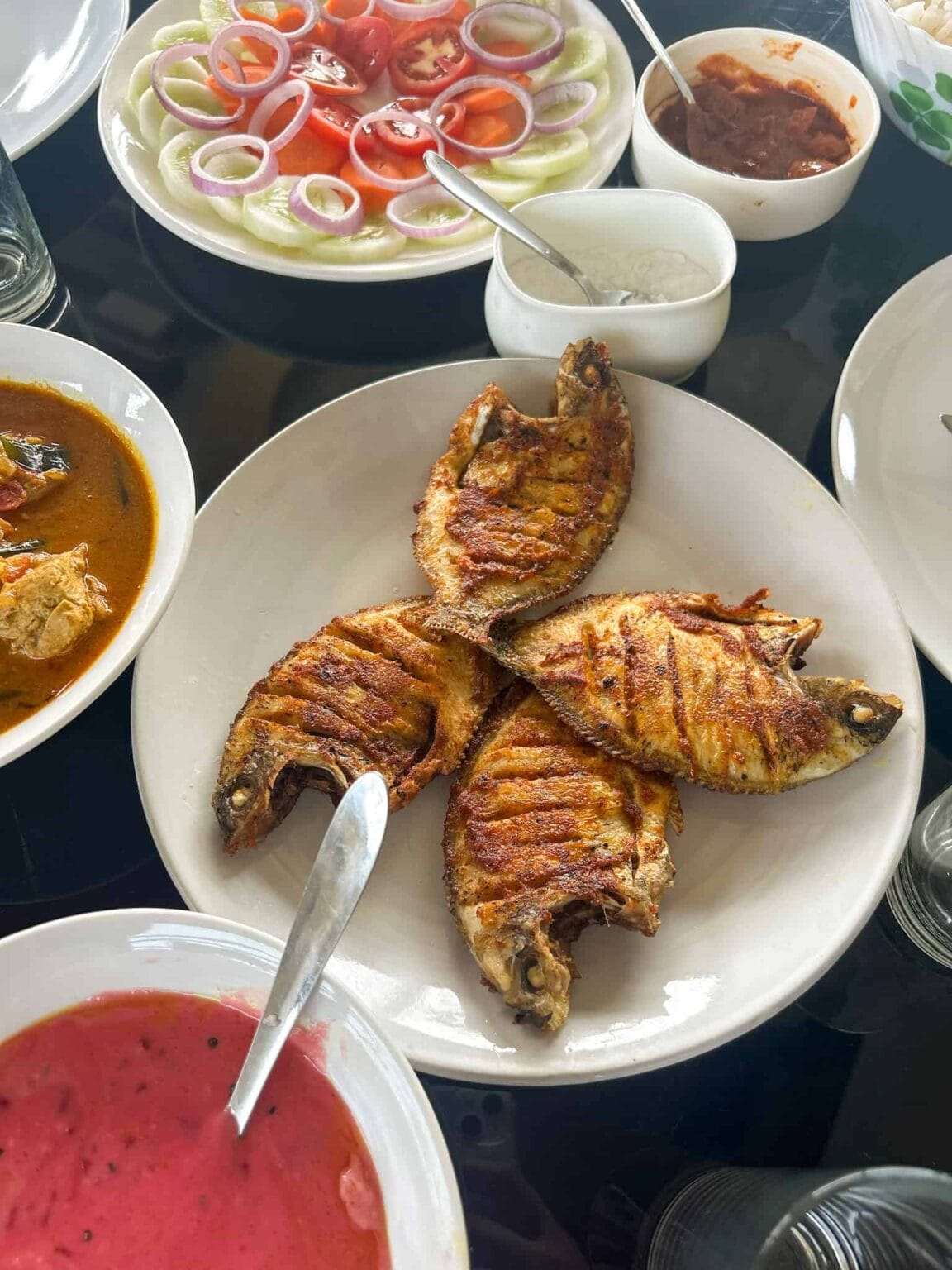 why nris and indians should see india - south india fish