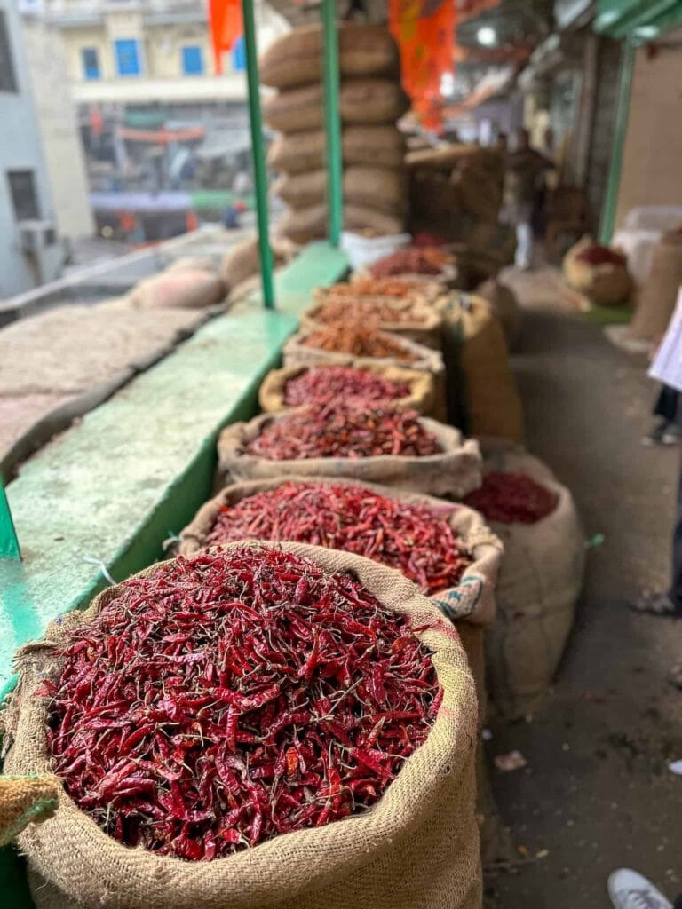 Chandi Chowk market in delhi - chillis and spices