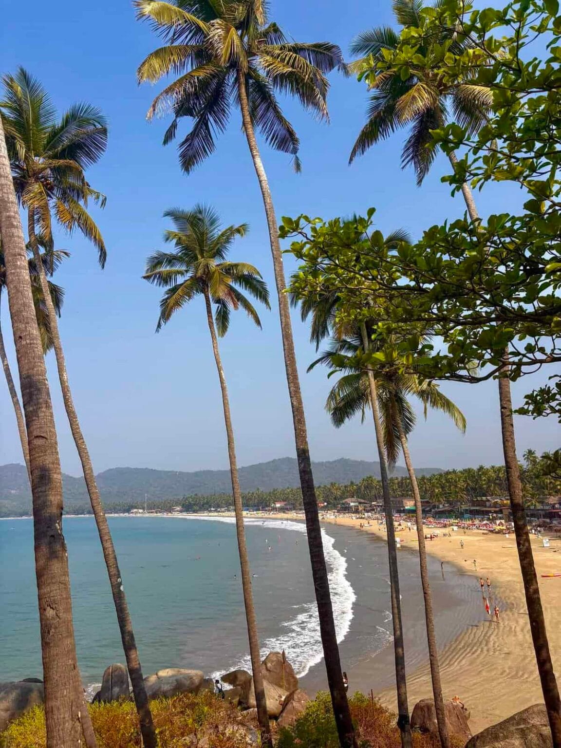 Best View of Palolem Beach in Goa with palm trees and cove beach