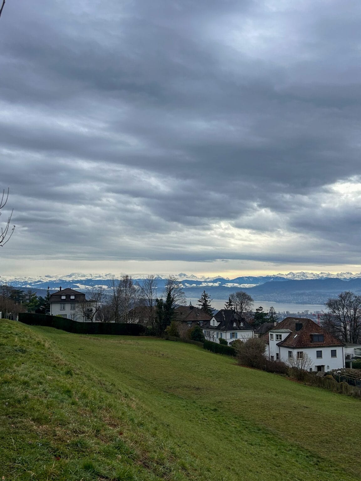 view of the alps from a hilltop
